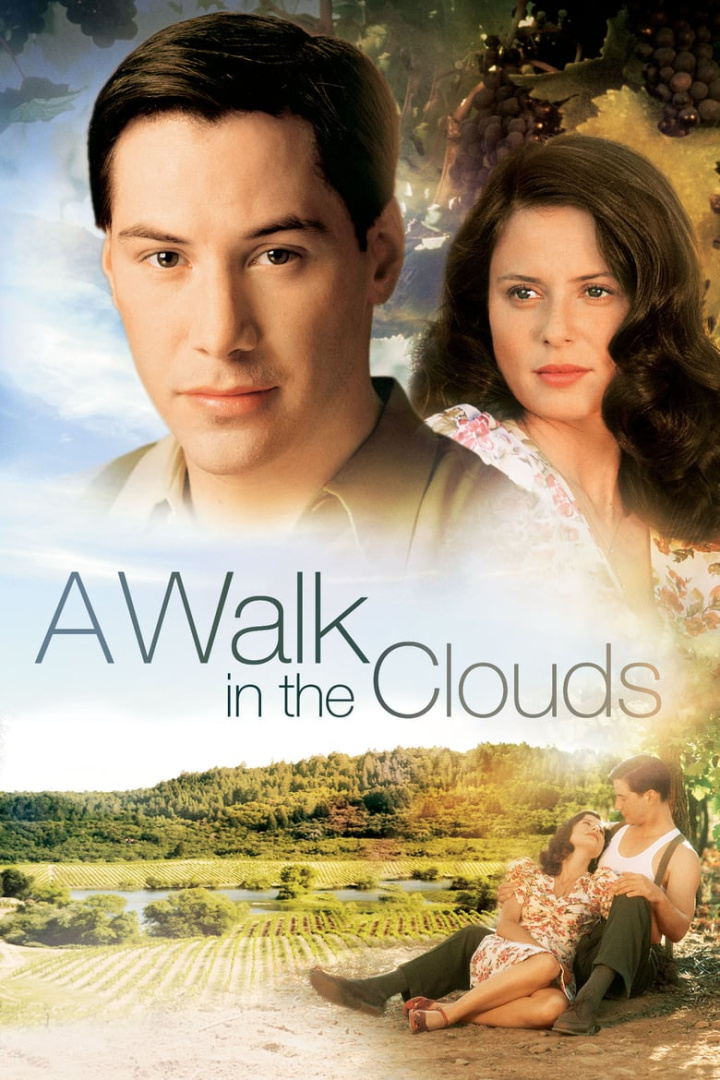 A Walk in the Clouds i gruppen Alla filmer hos Mohamad shop (9560)