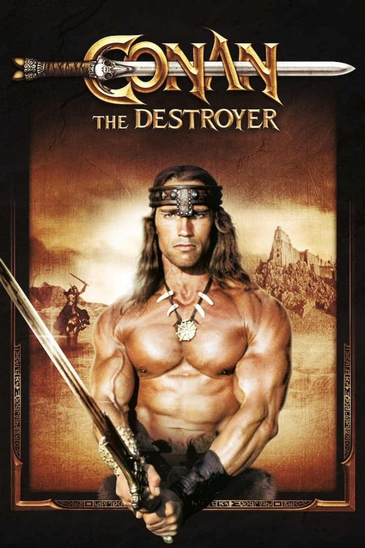 Conan the Destroyer i gruppen Alla filmer / Fantasy hos Mohamad shop (9610)