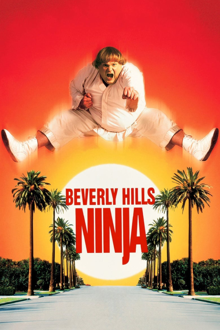 Beverly Hills Ninja i gruppen Alla filmer hos Mohamad shop (9622)