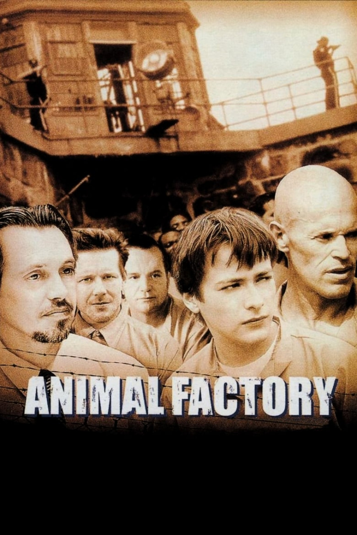 Animal Factory i gruppen Alla filmer hos Mohamad shop (9791)