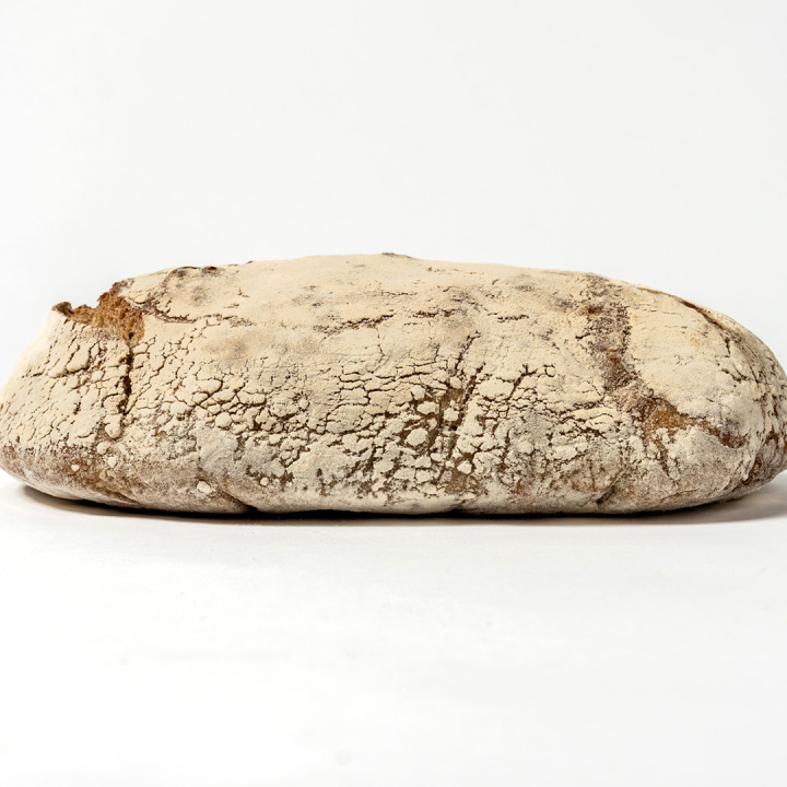 Petit blanc i gruppen Alla produkter / Bröd & Frallor hos Mohamad shop (gateau-1stpetitblanc)